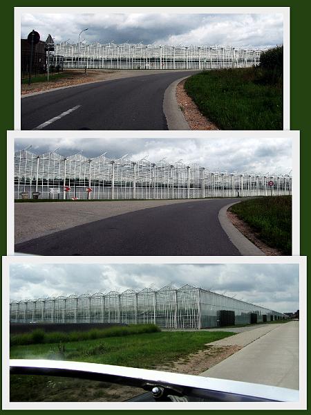5e Taxandriarit op 1-9-2013 (19).jpg